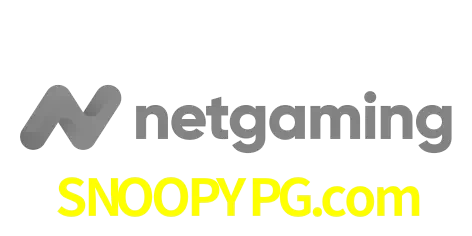 NetGaming